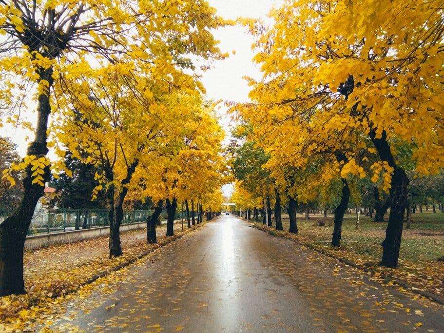 Autumn Adventures in Albania: 10 Must-Try Activities for Fall Travelers